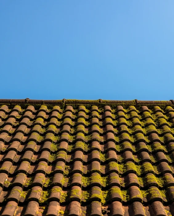 Entretien de toiture démoussage à Gradignan et Jonzac