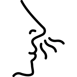 Odeur d'humidité, problème de couverture - Conseil artisan couvreur zingueur