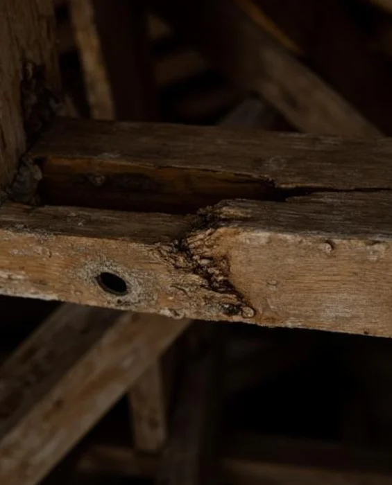 Traitement et purge des bois dégradés - Charpente Couvreur zingueur